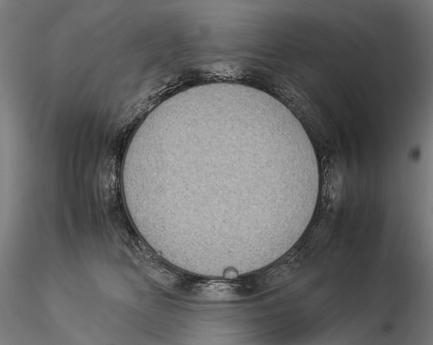 X0000115500518200912041041