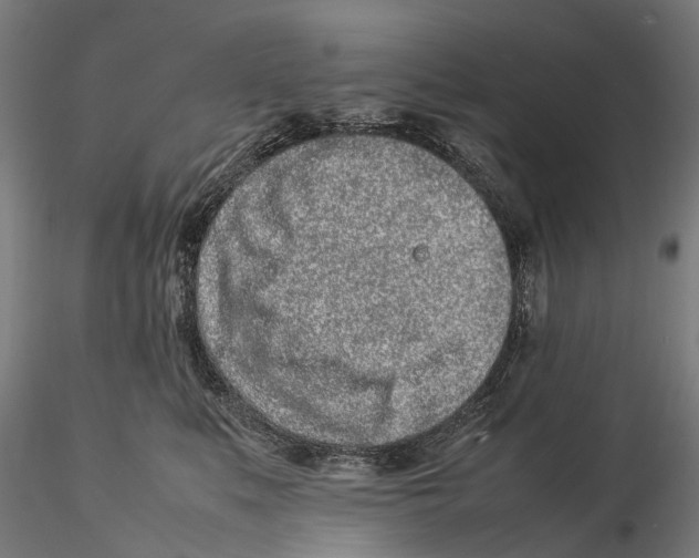 X0000115500519200912041041
