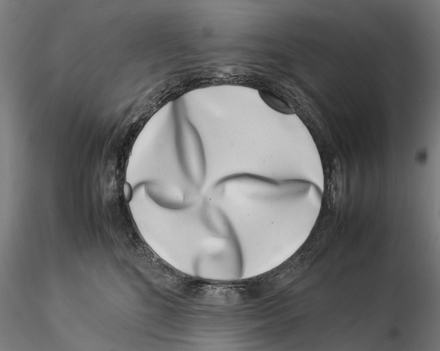 X0000115500520200912041041
