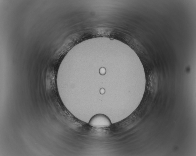 X0000115500522200912041041