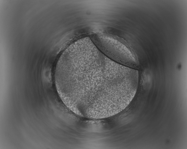X0000115500524200912041041