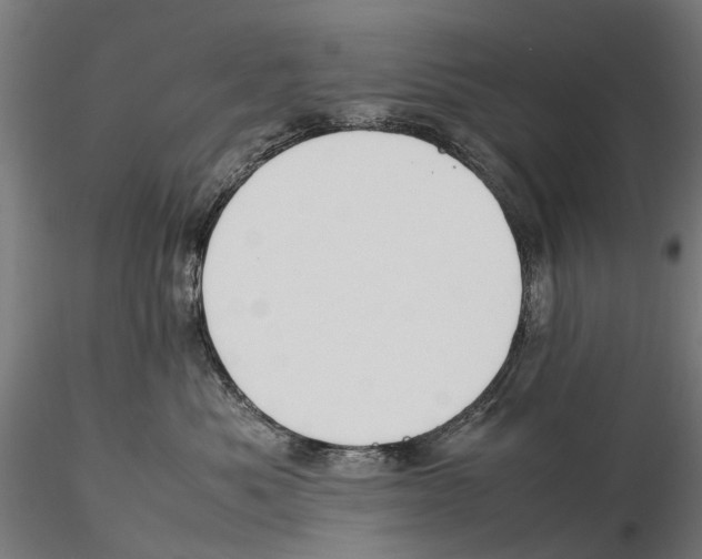X0000115500525200912041041