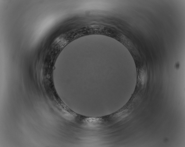 X0000115500526200912041041
