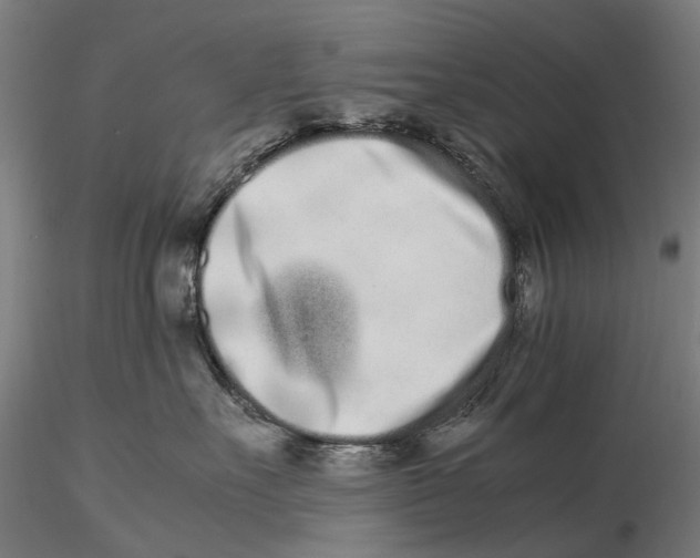 X0000115500527200912041041