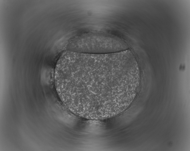X0000115500528200912041041