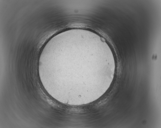 X0000115500529200912041040
