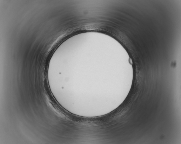 X0000115500530200912041040