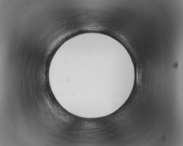 X0000115500531200912041040