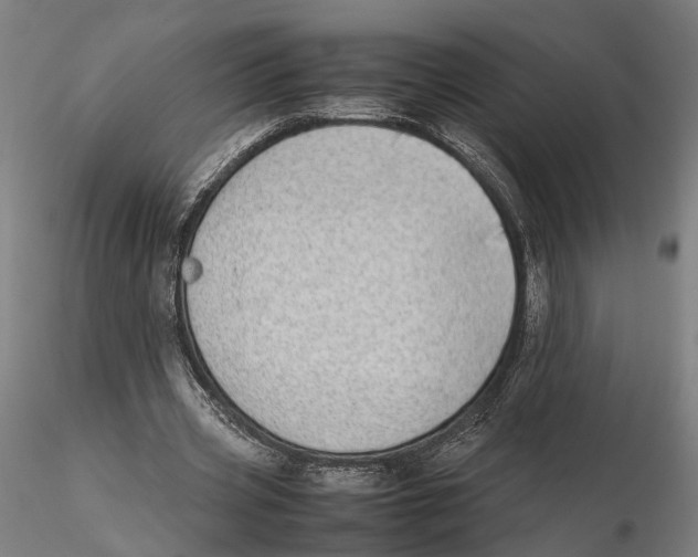 X0000115500533200912041040