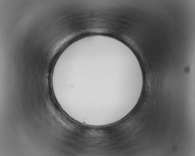X0000115500535200912041040