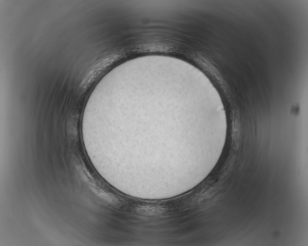 X0000115500537200912041040