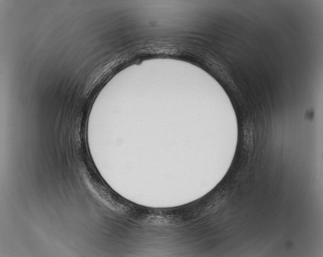 X0000115500538200912041040