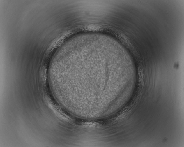 X0000115500542200912041040