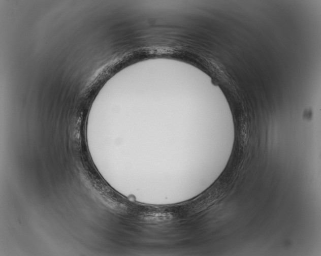 X0000115500543200912041040