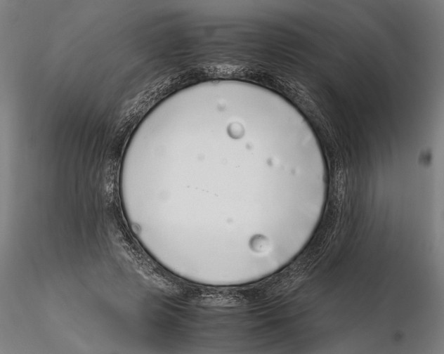 X0000115500545200912041040
