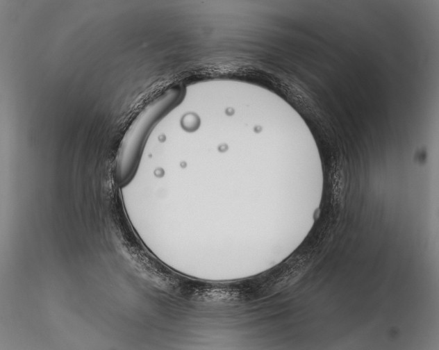 X0000115500546200912041040