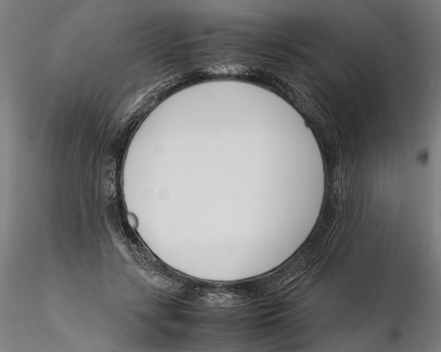 X0000115500547200912041040