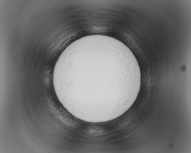 X0000115500549200912041040