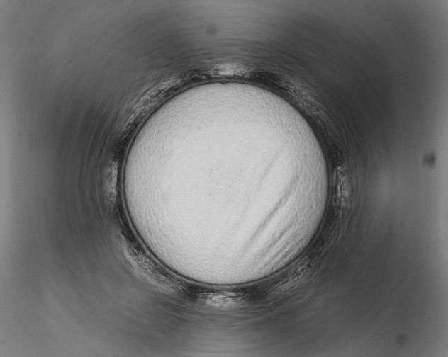 X0000115500550200912041040