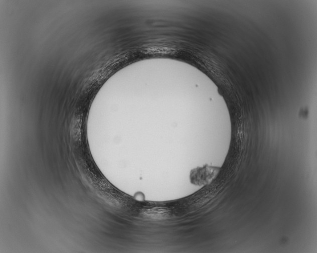 X0000115500551200912041040