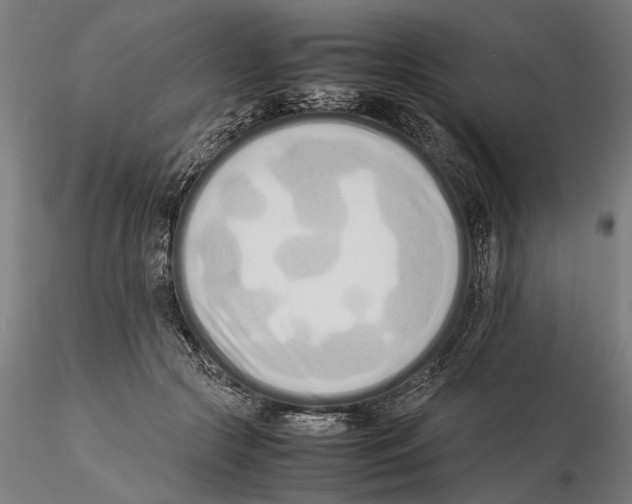 X0000115500553200912041040