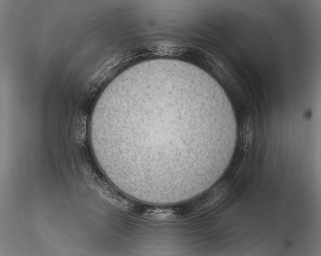 X0000115500554200912041040