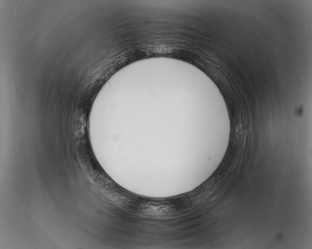 X0000115500555200912041040