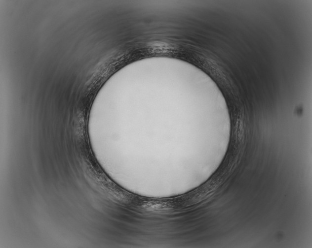 X0000115500557200912041040