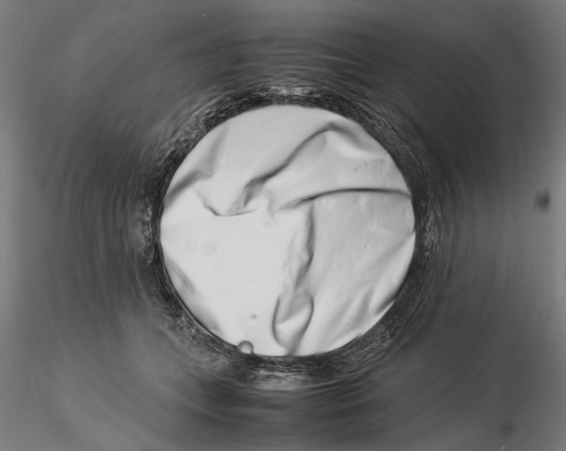 X0000115500559200912041040