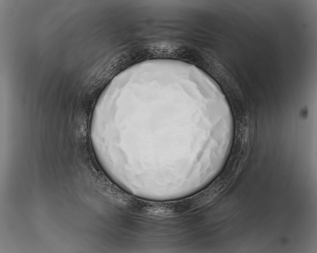 X0000115500561200912041040
