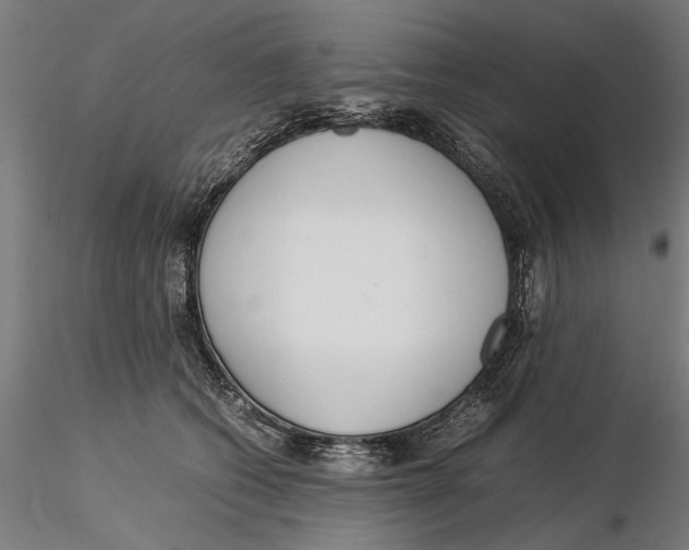 X0000115500562200912041040
