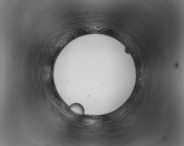X0000115500563200912041040