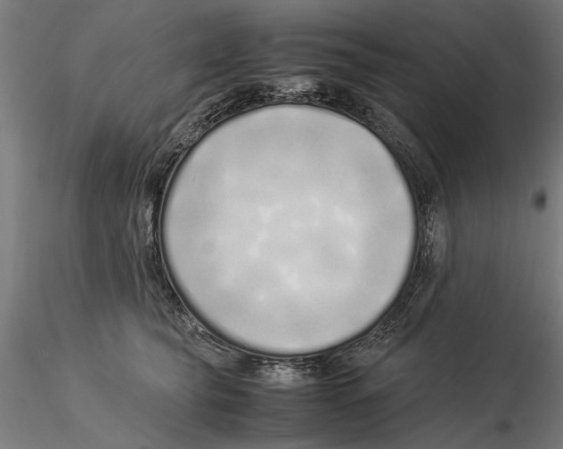 X0000115500565200912041040