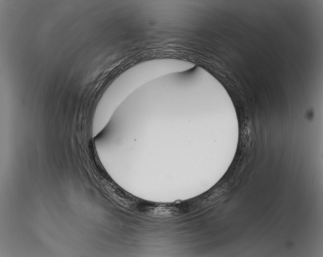 X0000115500566200912041040