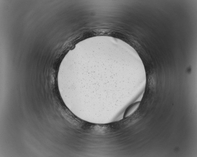 X0000115500570200912041041