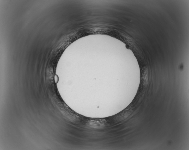 X0000115500571200912041041