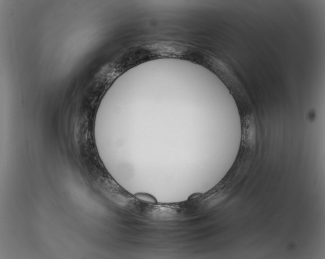 X0000115500573200912041041