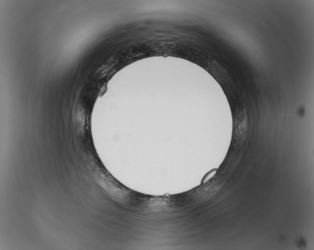X0000115500574200912041041