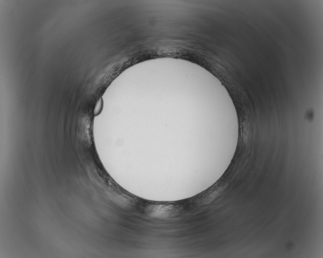 X0000115500575200912041041
