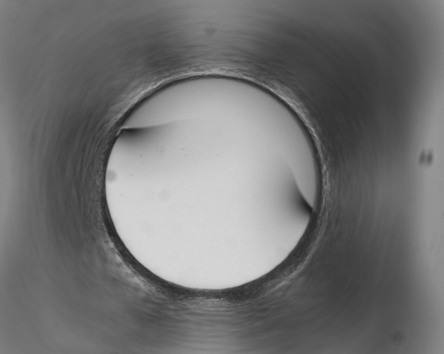 X0000115500577200912041040