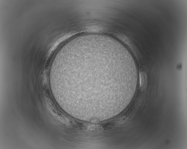 X0000115500579200912041040