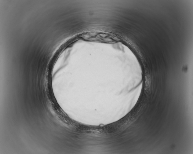 X0000115500580200912041040