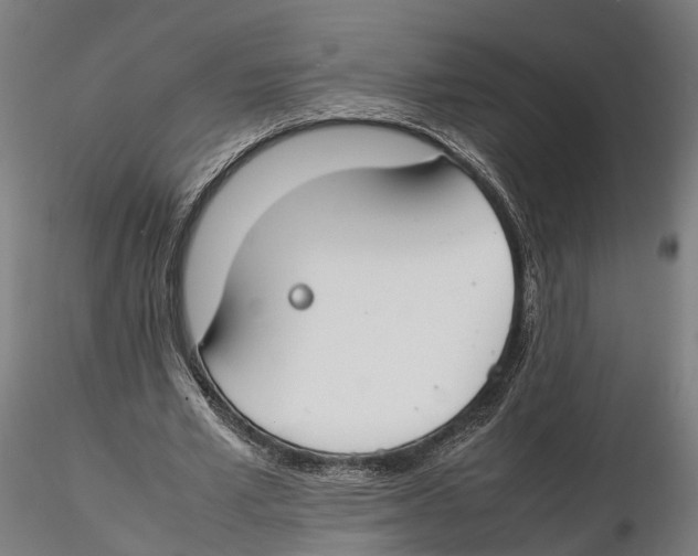 X0000115500581200912041040
