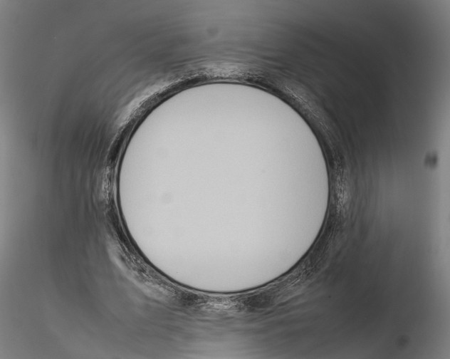 X0000115500583200912041040