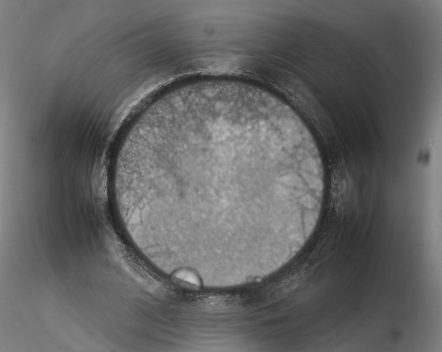 X0000115500584200912041040