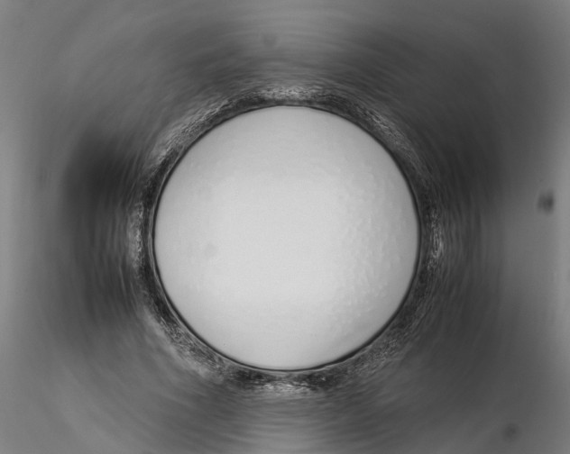 X0000115500586200912041040