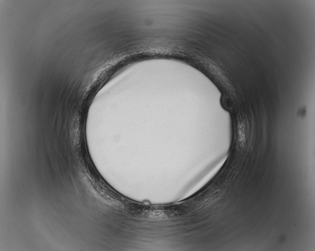 X0000115500588200912041040