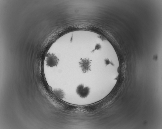 X0000115500589200912041040