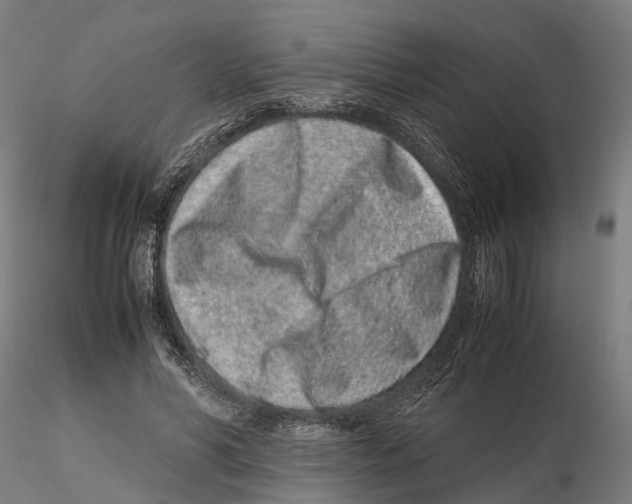 X0000115500590200912041040