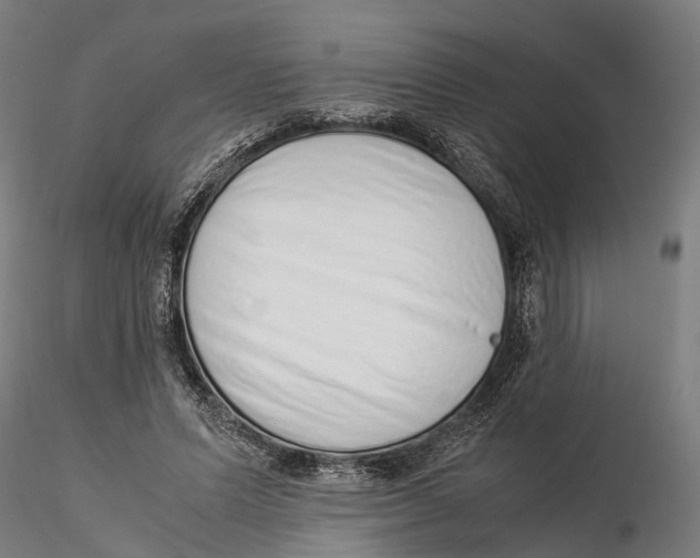 X0000115500591200912041040
